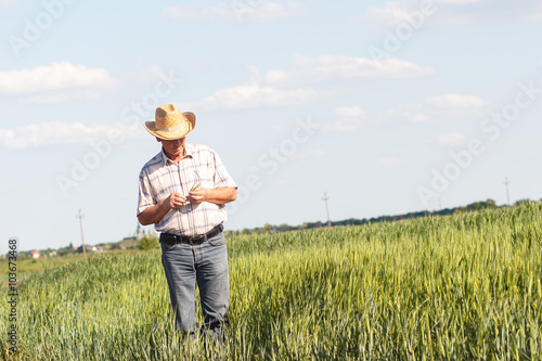 Senior farmer in a field examining crop © Zoran Zeremski