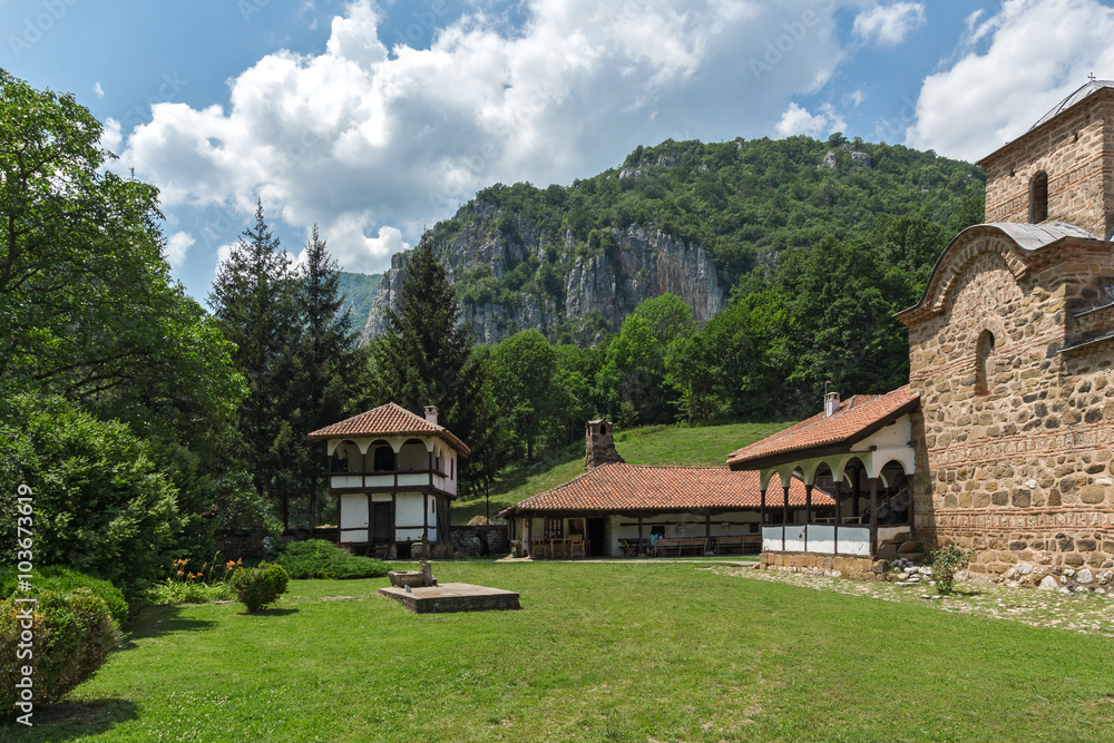 Main view to Poganovo Monastery of St. John the Theologian, Serbia