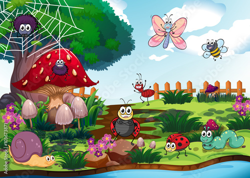 Bugs living by the river