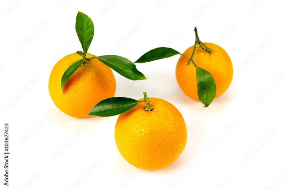 Orange fruit isolated on white background
