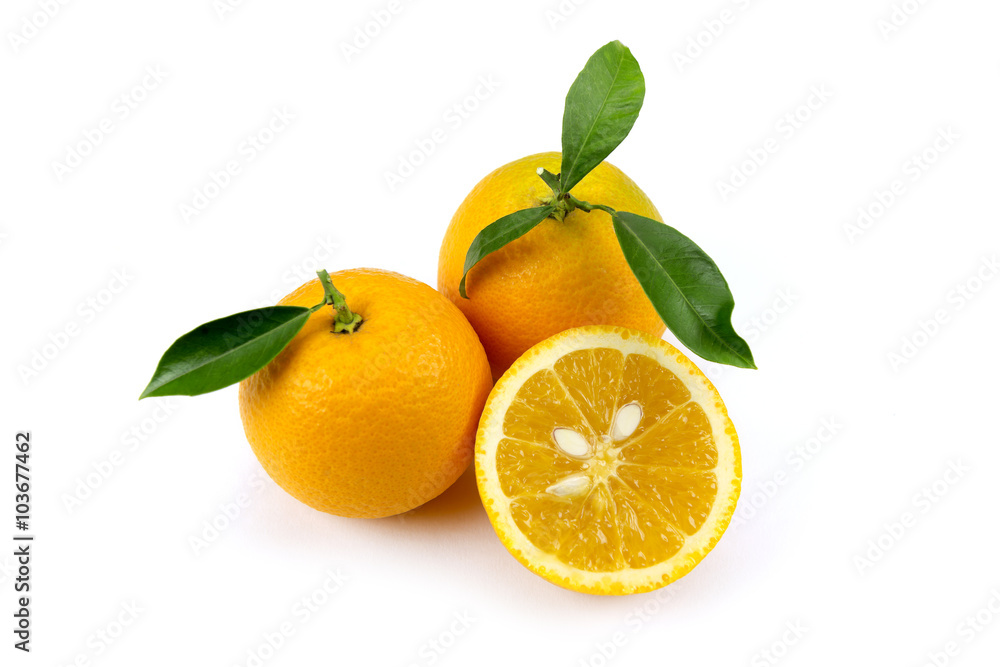 Orange fruit isolated on white background
Orange fruit isolated on white background