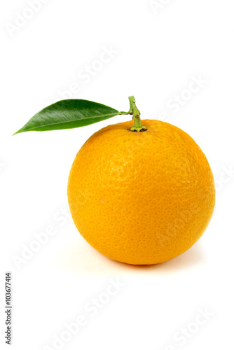 Orange fruit isolated on white background 