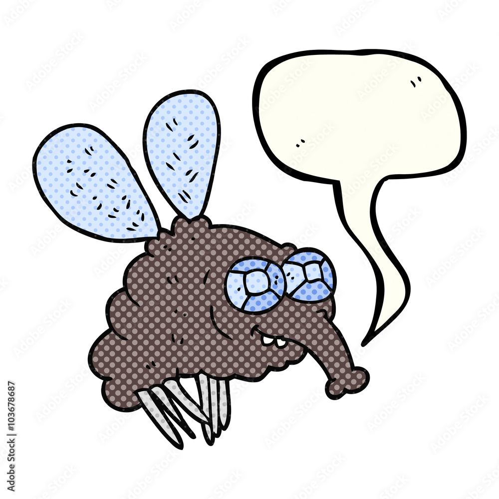comic book speech bubble cartoon fly comic book speech bubble cartoon fly