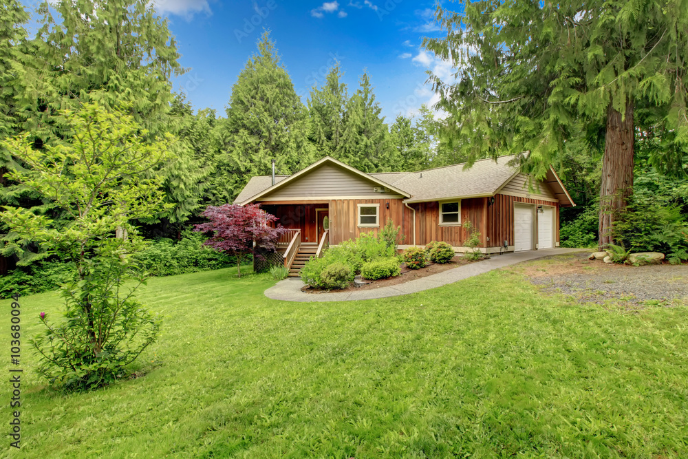 cute cabin house with large yard.