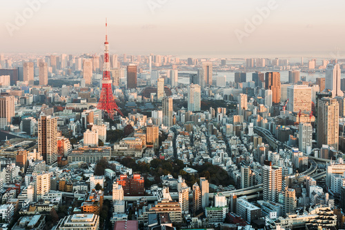 Tokyo Skyline at sunset. © fazon