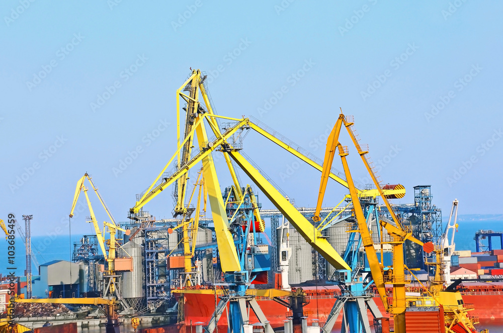 Port cargo crane