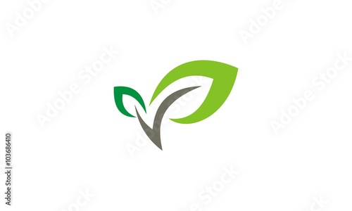  green leaf business logo company © barani83