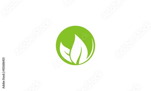  leaf organic company logo