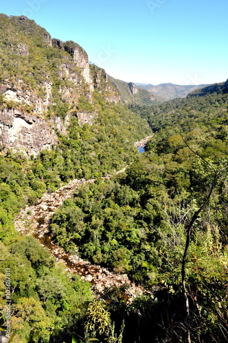 Vale e floresta