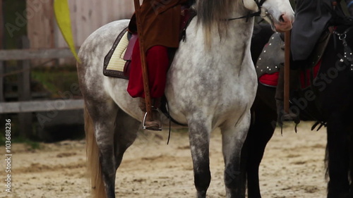 Medieval horserider coming to town with royal flag, envoy bringing news to crowd photo