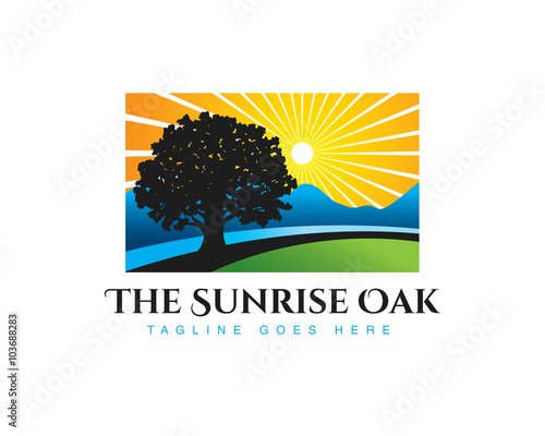 oak tree with sunrise landscape backgound