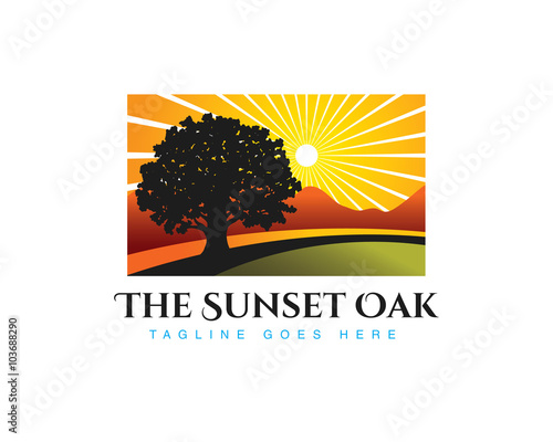 oak tree with sunset landscape backgound