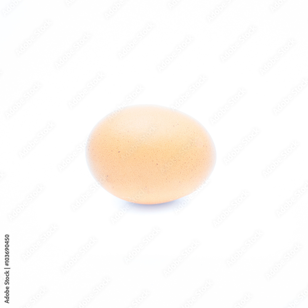 egg isolated