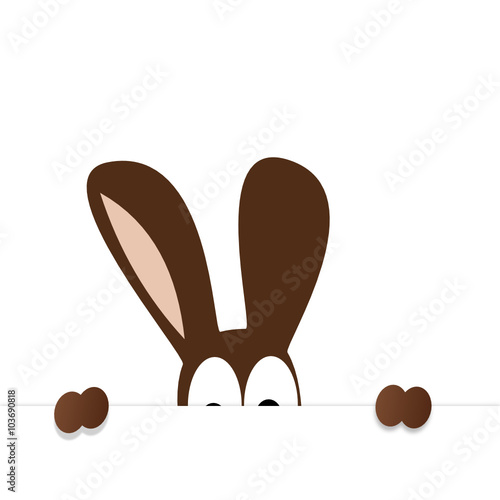 Hase