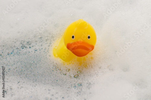 yellow toy duck in bath with foam