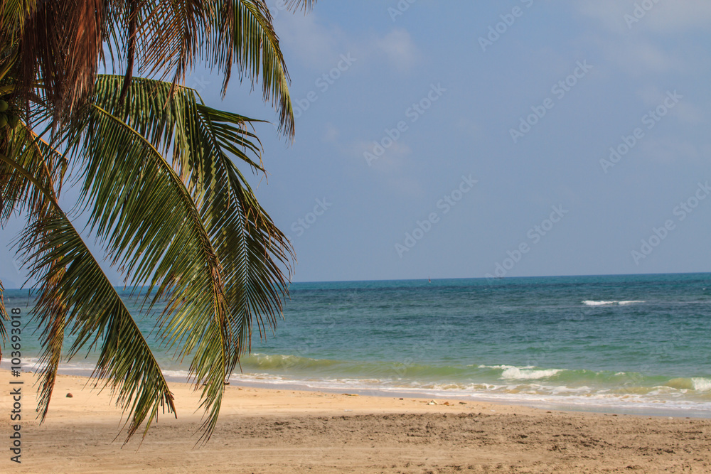 Obraz premium beautiful tropical sea in summer