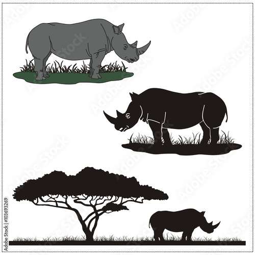 vector rhinoceros on white background, profile and silhouette of the rhino