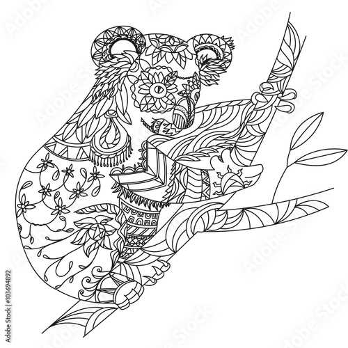 Photography Zentangle patterned koala bear sitting on eucalyptus