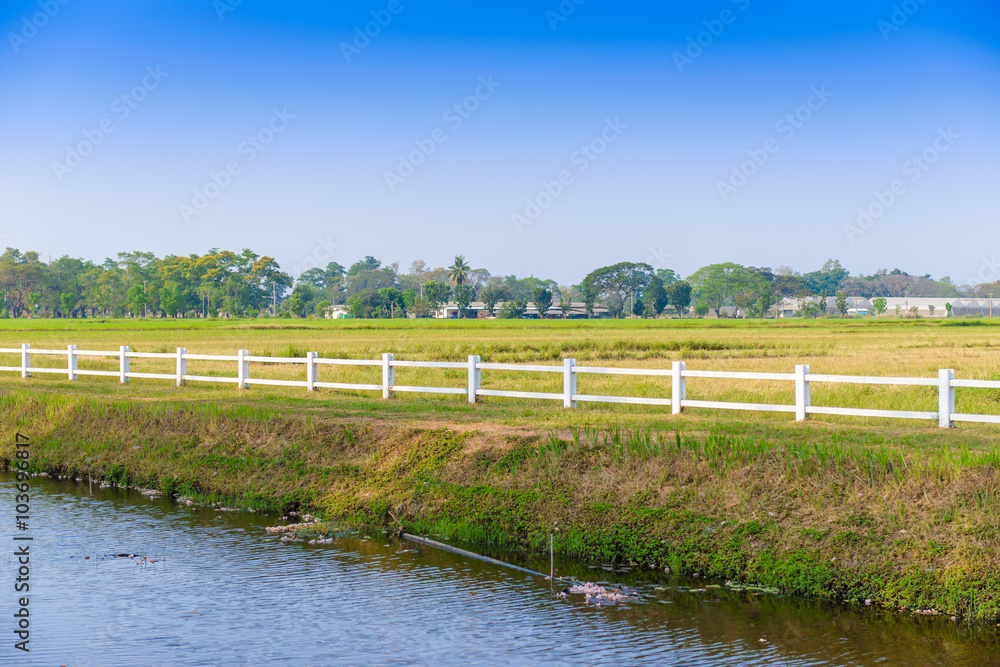 white fence in farm