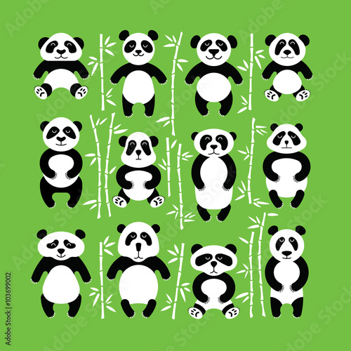 Pandas bear flat. Panda animal isolated.