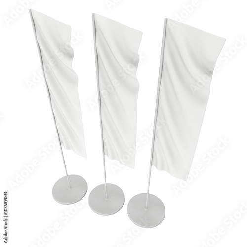 Flag Blank Expo Banner Stand.