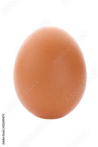 brown chicken egg close up isolated on white