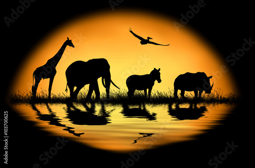 Silhouette african animals on the background of sunset