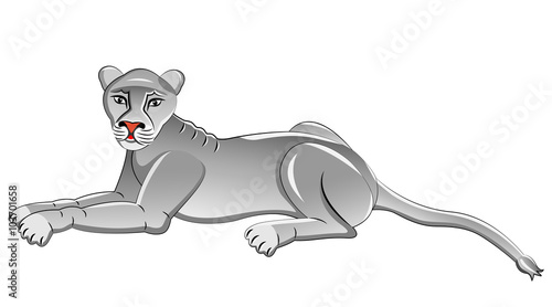 White Lioness. Isolated animal. Vector illustration.