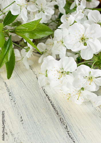 Flowering branch of cherry on old wooden board