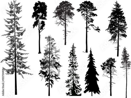 ten black trees set isolated on white