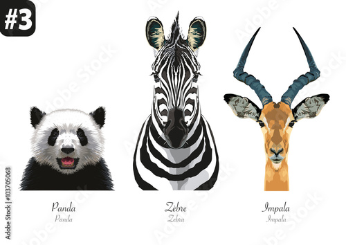 ANIMAUX -Portraits - #3 - Panda - Zèbre - Impala