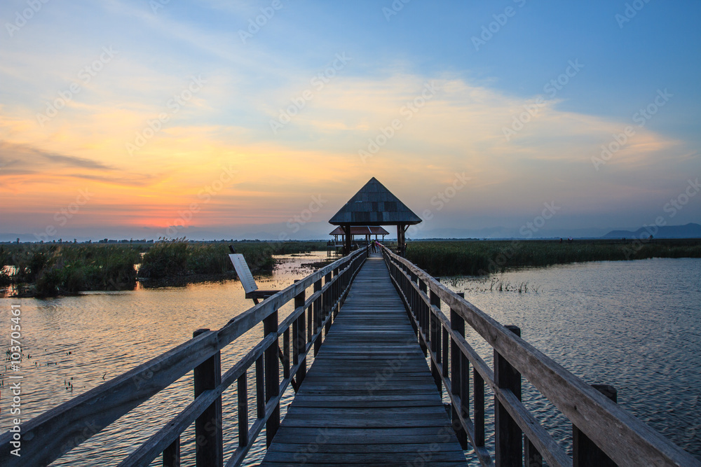 Wooden Bridge in lotus lake on sunset time
