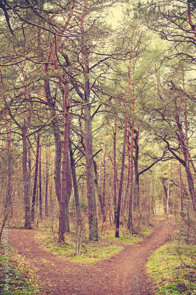Retro toned picture of bifurcation in forest