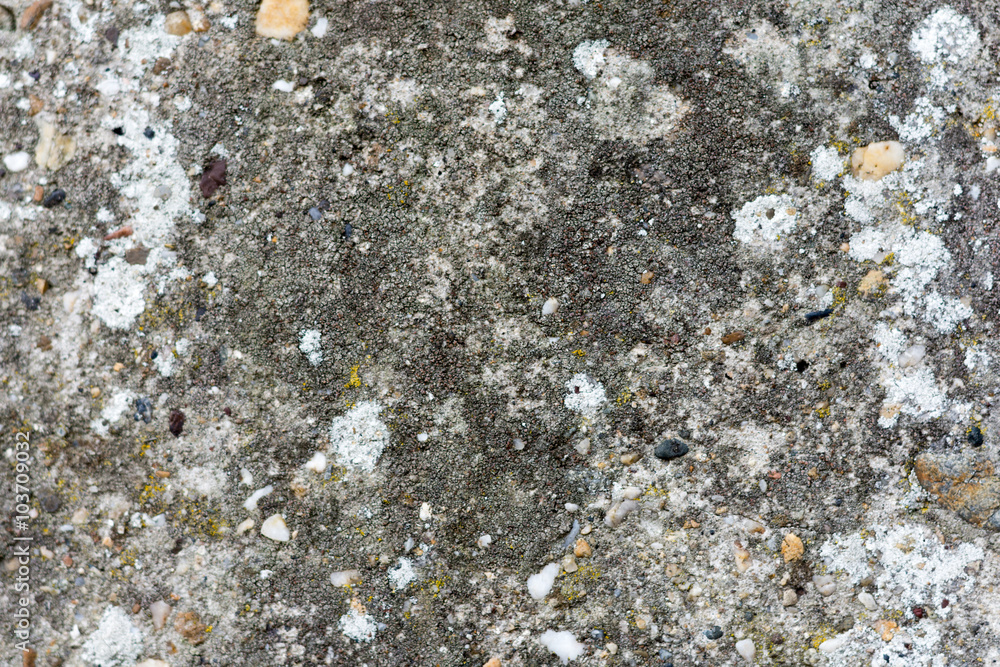 Old cracked concrete background wall Old cracked concrete background wall