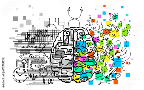 This vector illustrates the use of brain hemispheres, left and right, logic and creativity.