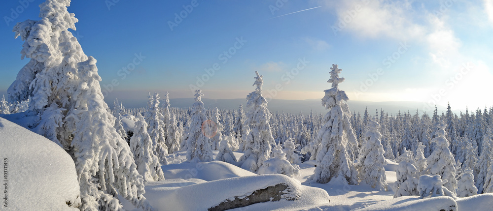Fototapeta premium Winter im Fichtelgebirge mit Blick vom Goethefelsen ins Land