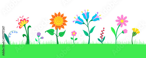 Vector illustration of many beautiful flowers