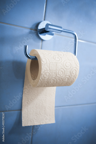 Toilet paper in holder