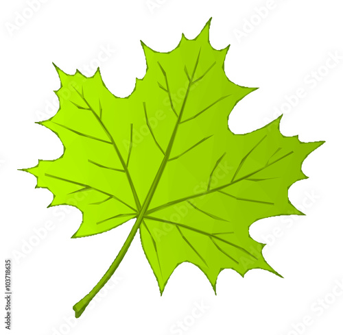 Summer Maple Green Leaf Isolated Nature Symbol, Polygonal Low Poly Design. Vector