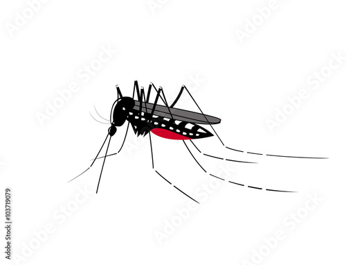 Vector illustration of a tiger mosquito with a red stomach