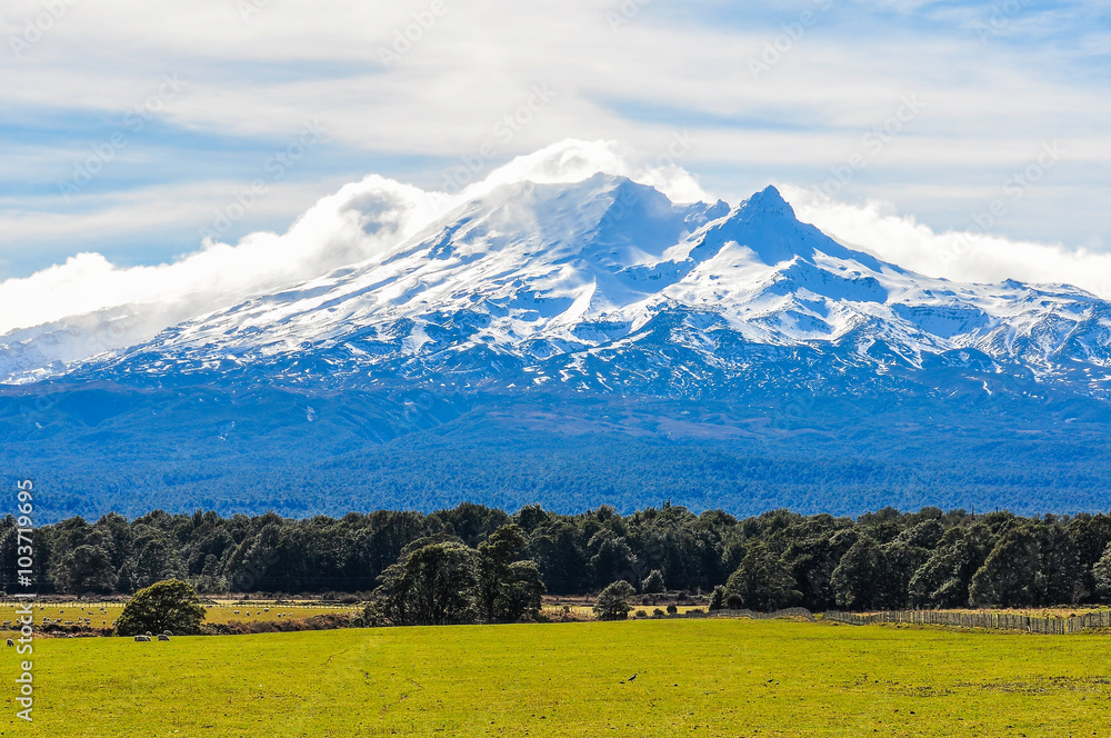 View of Mount Ruapehu, New Zealand