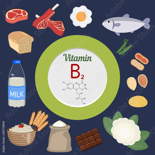 Vitamin B2 or Riboflavin infographic