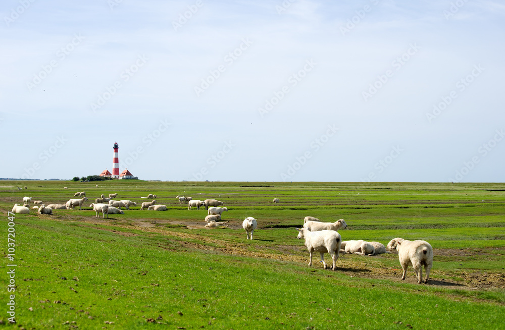 Obraz premium Westerhever Leuchtturm - Nordsee 