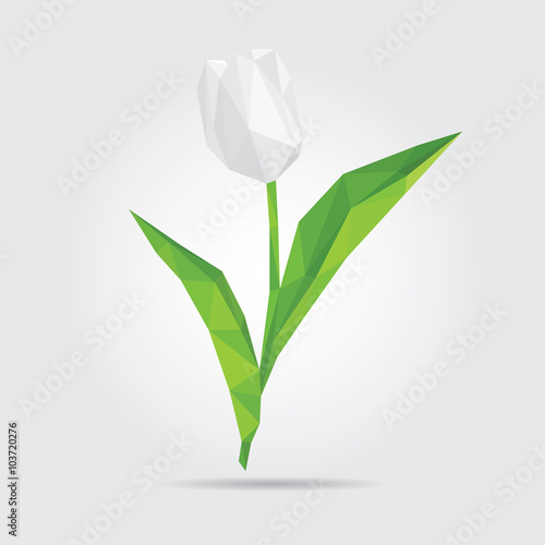 Polygonal Flower Tulip. White Tulip in Vector