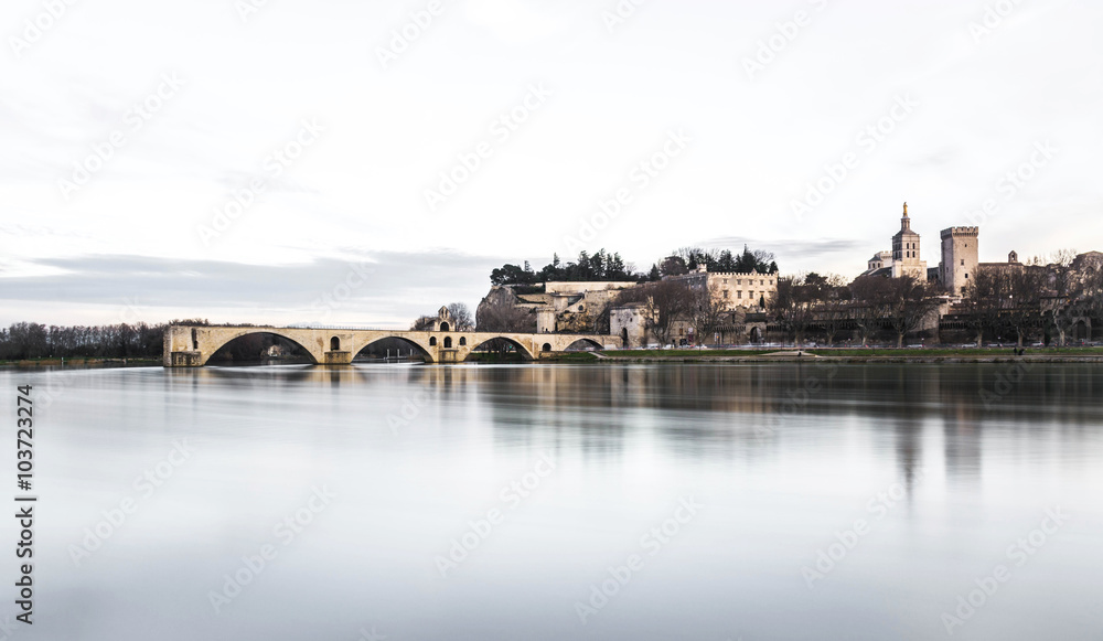 Pont d'avignon et palais des papes vues depuis le rhône