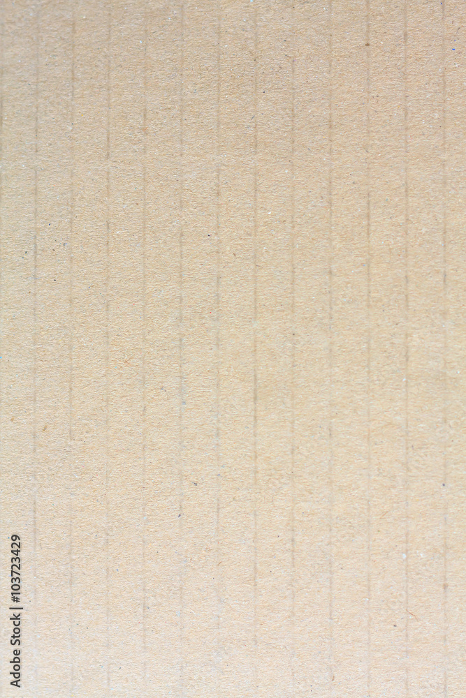 Fototapeta premium Close up brown cardboard paper background and texture