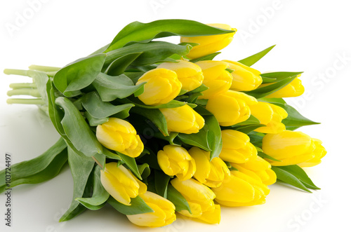 Fototapeta Naklejka Na Ścianę i Meble -  Gelbe Tulpen