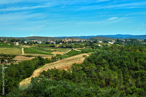 Wallpaper Mural Small town in the hills of vineyards in France. Torontodigital.ca