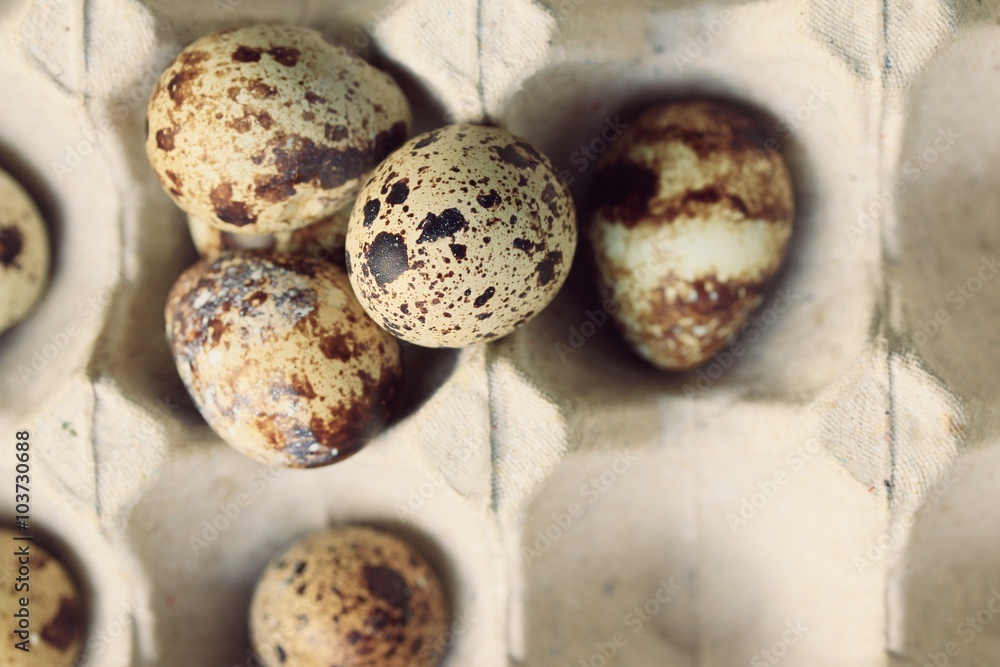 Obraz premium quail eggs and yolk