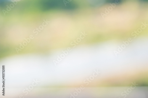 Road and Green tree nature abstract background (blur soft light style)